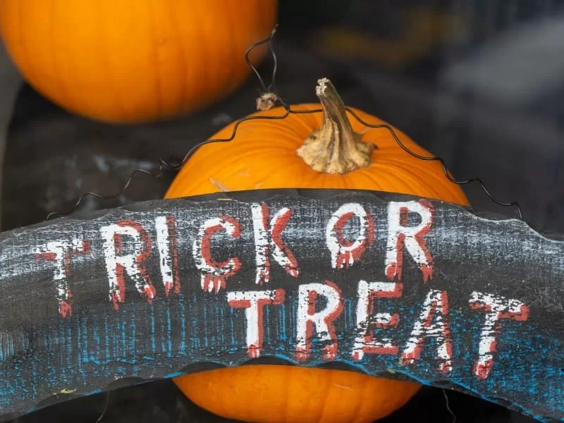 Comment traduire Trick or treat ?